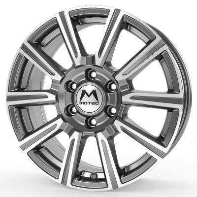 Motec WM1