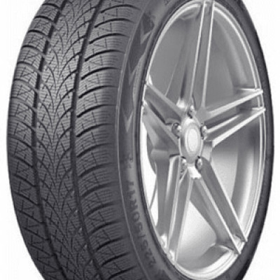 TRIANGLE WinterX TW401 205/55 R17