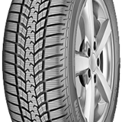 SAVA Eskimo SUV 2 225/65 R17 106H · Téli